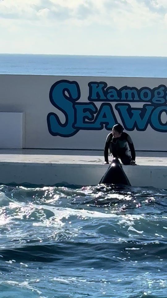 TikTok video thumbnail by user1113576686750