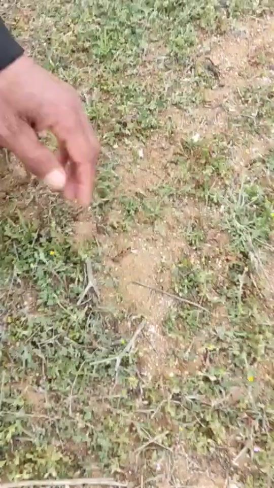 TikTok video thumbnail by mammedov.017