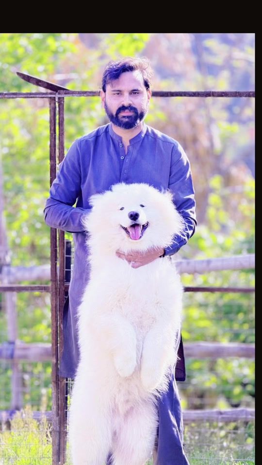 TikTok video thumbnail by husky_planet_pk