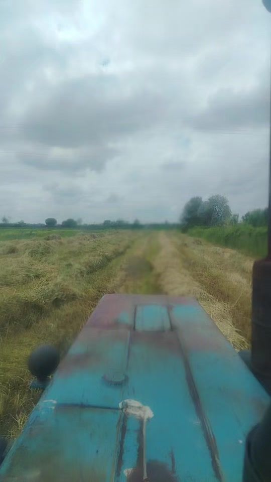 TikTok video thumbnail by emil_bk_445