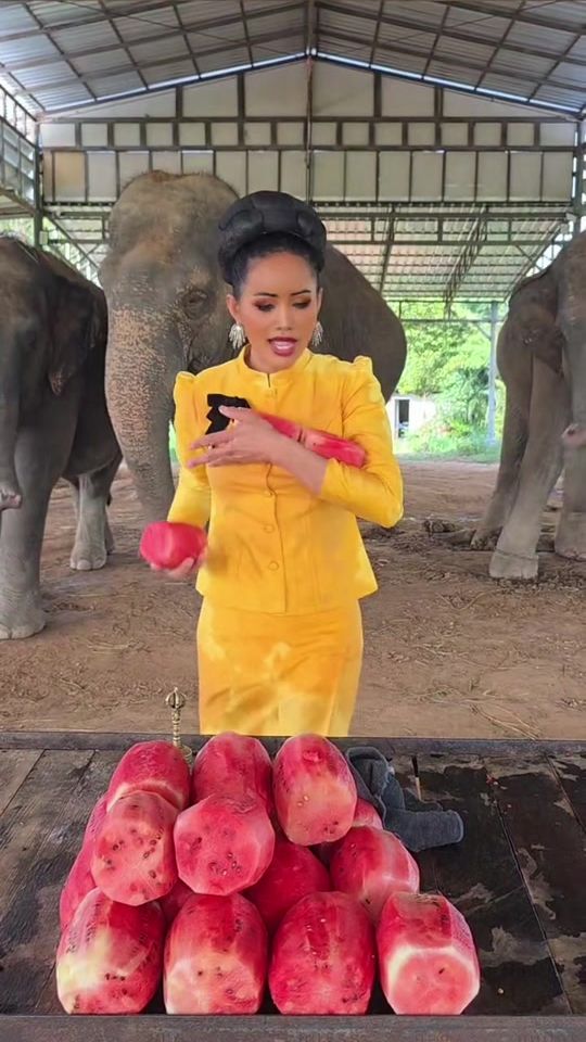 TikTok video thumbnail by chalidahomniem