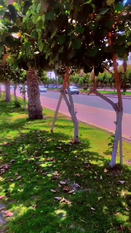 TikTok video thumbnail by bahrain772