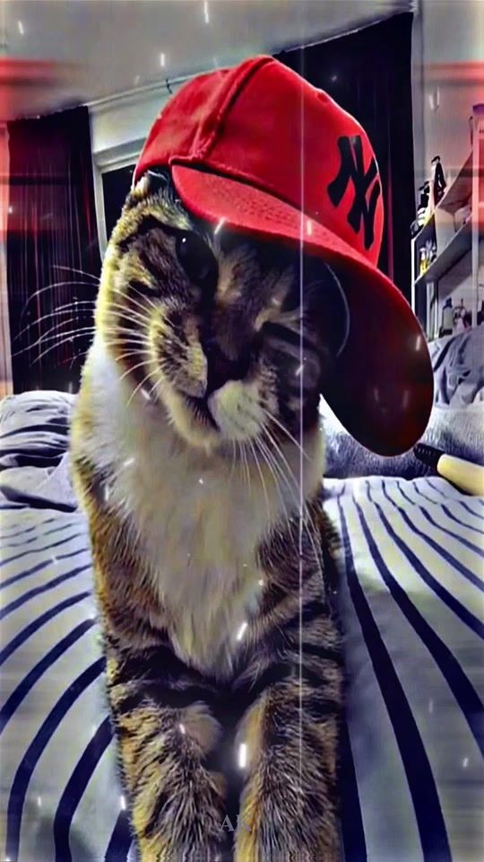 TikTok video thumbnail by akofficial_0