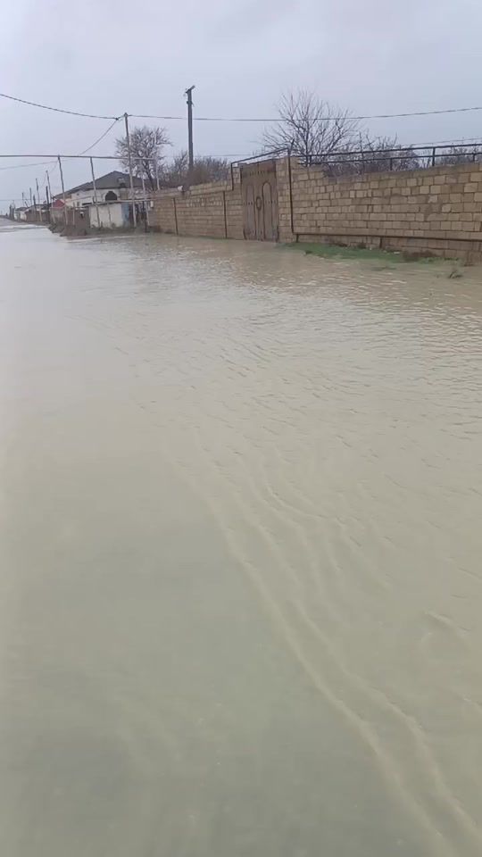 TikTok video thumbnail by mr__mamedoff
