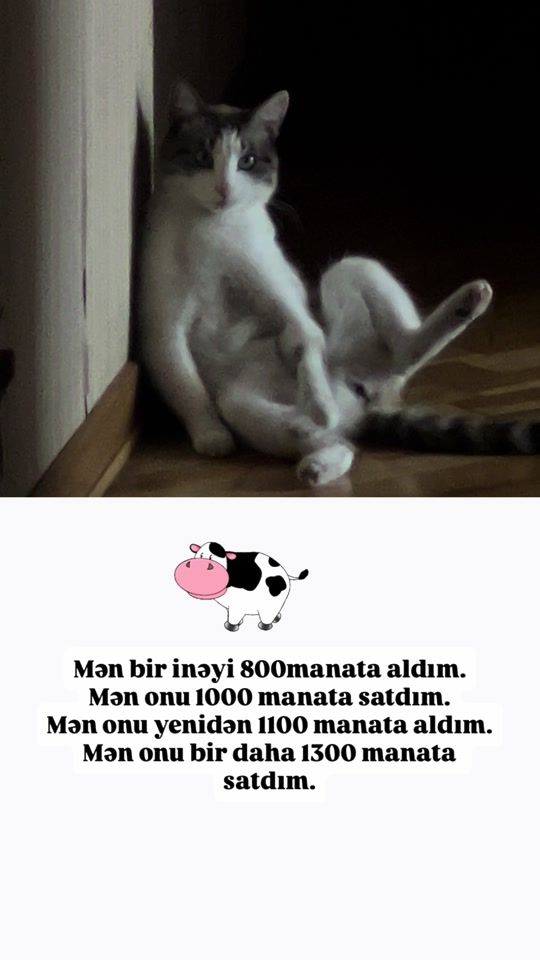 TikTok video thumbnail by choco_teddy