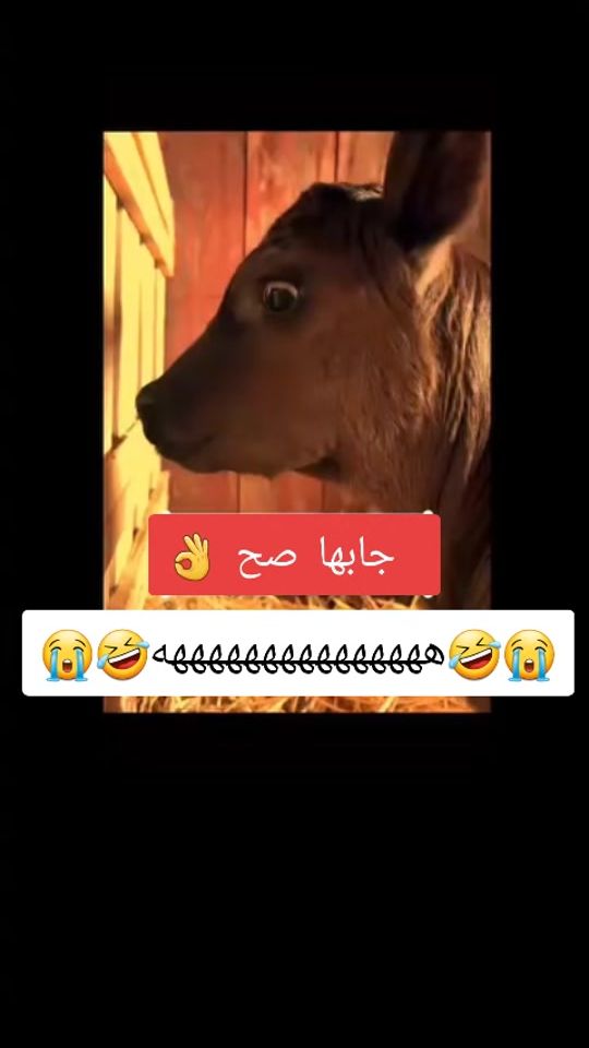 TikTok video thumbnail by ._080976