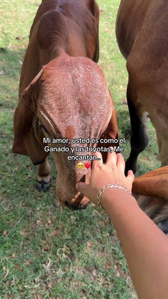 TikTok video thumbnail by katherine.134.5