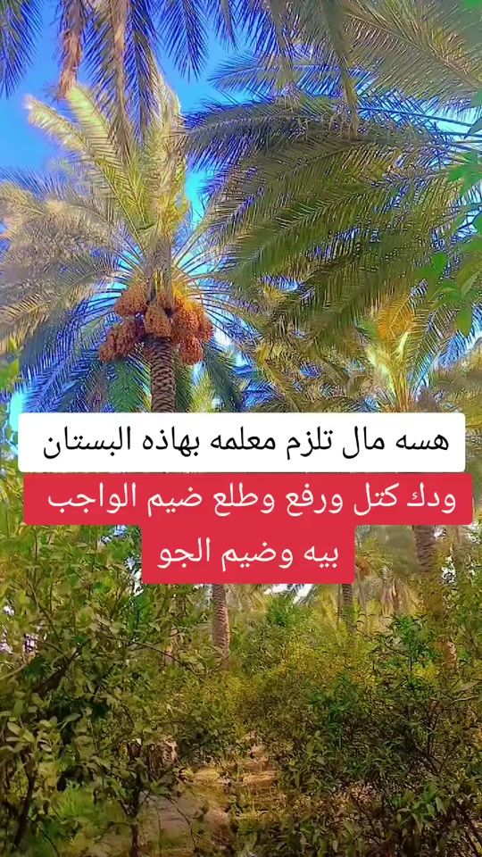 TikTok video thumbnail by user9680460670107