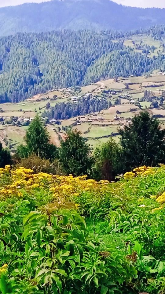 TikTok video thumbnail by wangchuk797