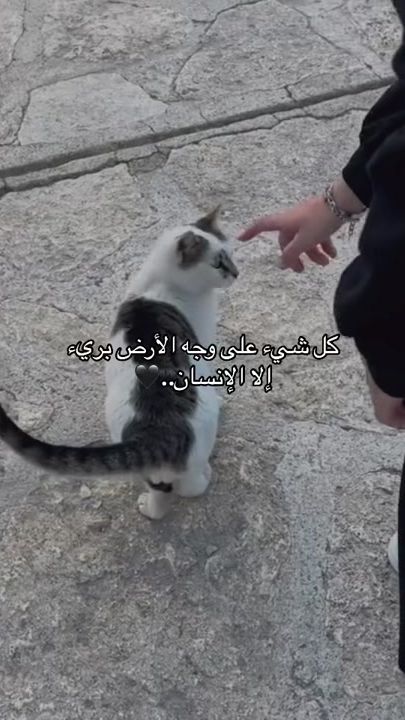 TikTok video thumbnail by shemo1213
