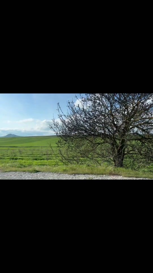 TikTok video thumbnail by v262ll