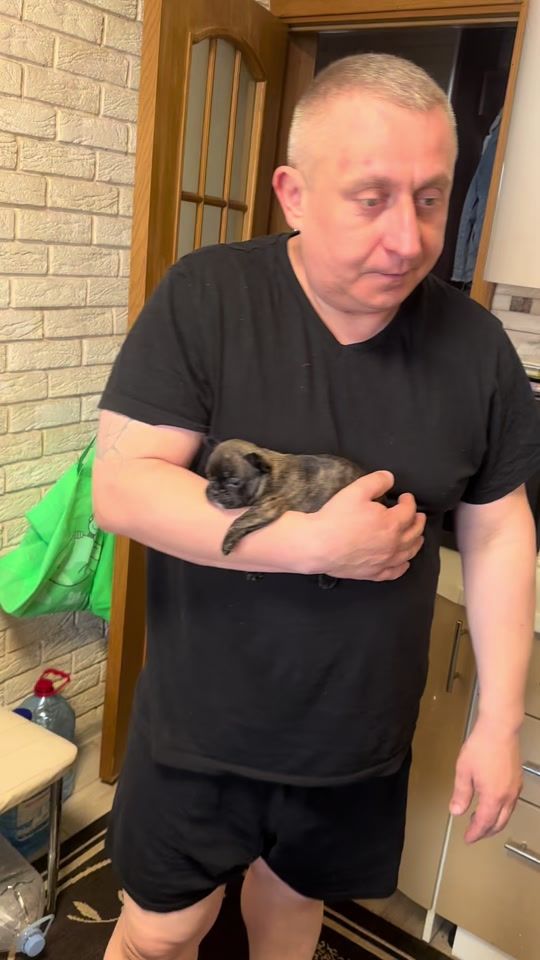 TikTok video thumbnail by vika_oleksandr