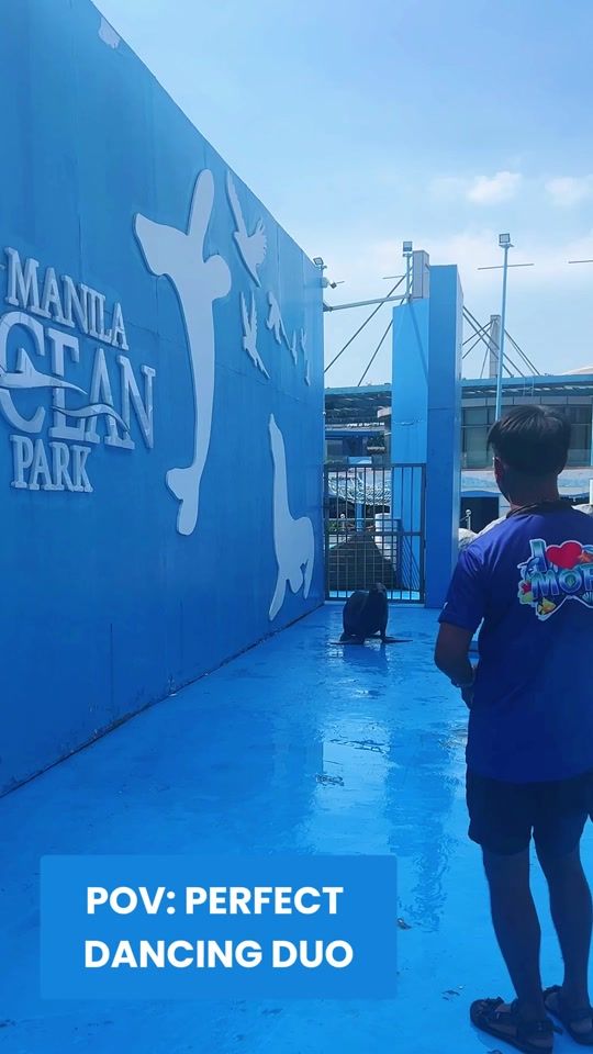 TikTok video thumbnail by manilaoceanpark