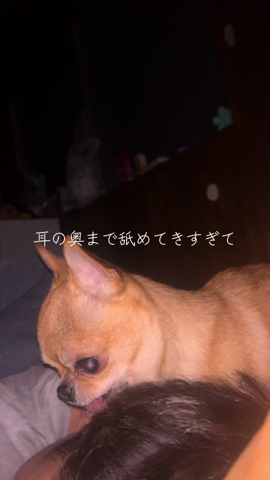 TikTok video thumbnail by ryusei119__323