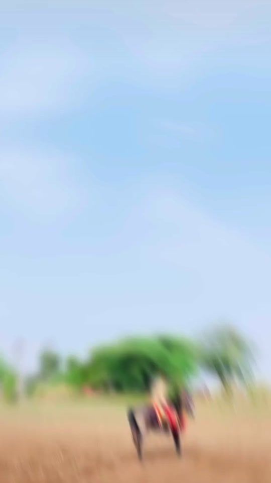 TikTok video thumbnail by ay0554_