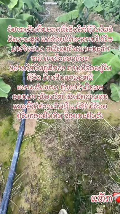 TikTok video thumbnail by kham.laoly0