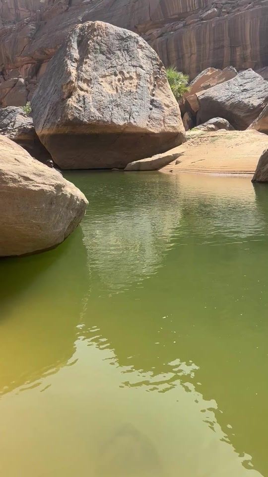 TikTok video thumbnail by tdaga6