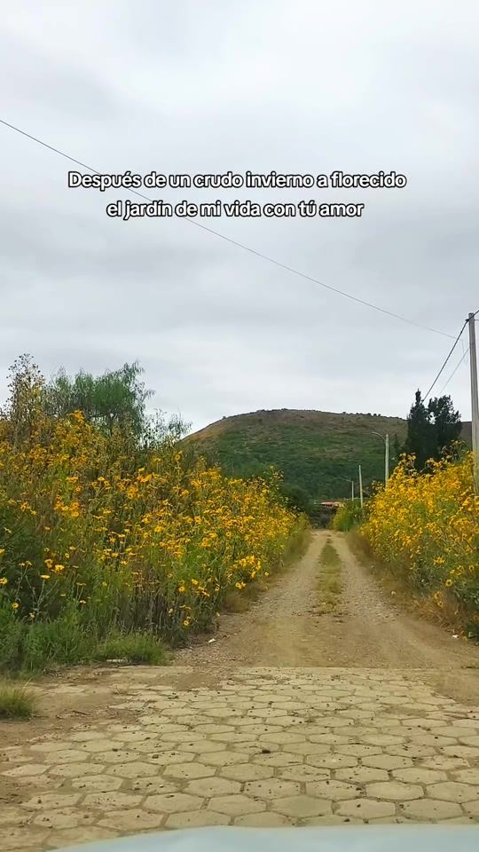 TikTok video thumbnail by tincho.sol