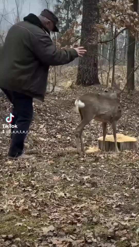 TikTok video thumbnail by p_a_n_t_e_r_aa