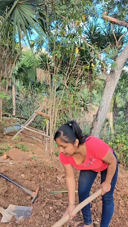 TikTok video thumbnail by comediadeoriente