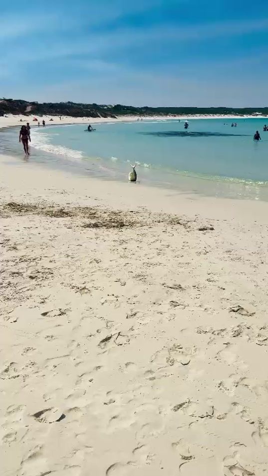 TikTok video thumbnail by ozadventures3