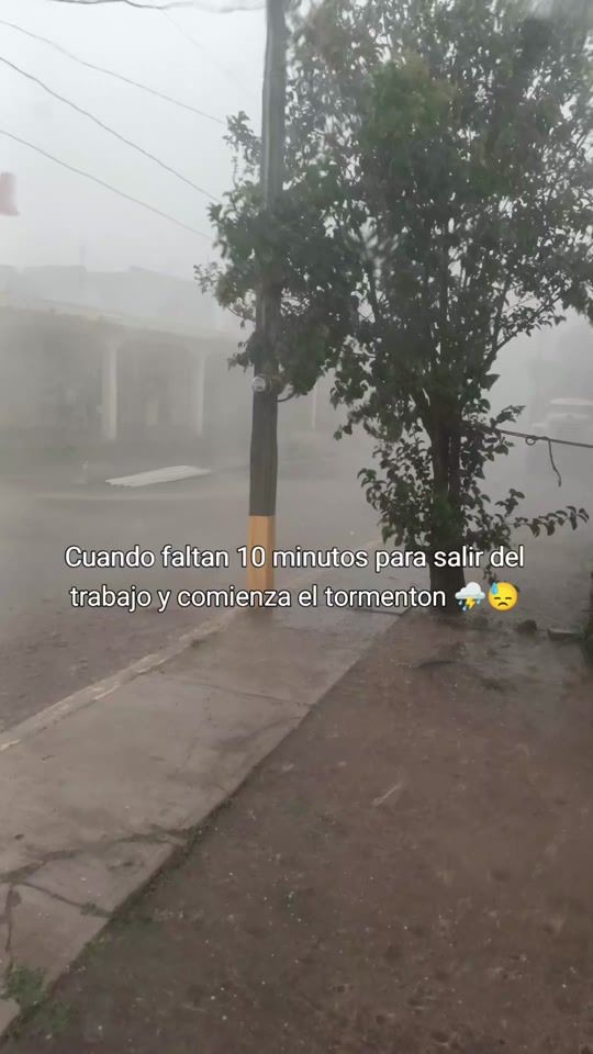 TikTok video thumbnail by mochiz_zac