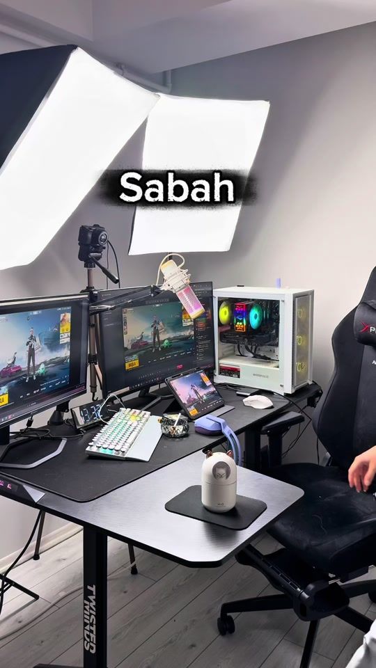 TikTok video thumbnail by arbaleteminee
