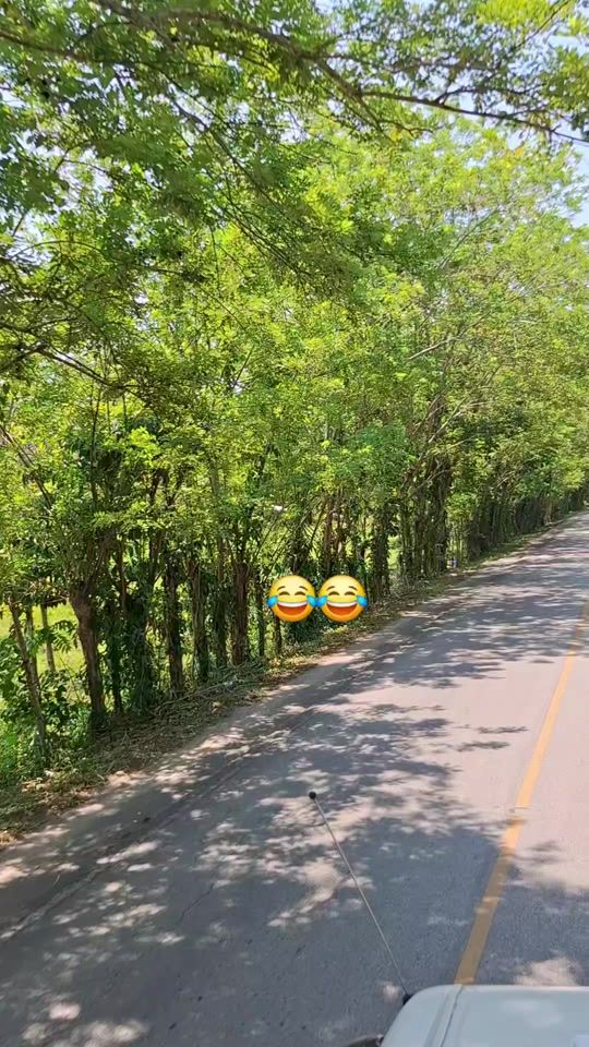 TikTok video thumbnail by armando502_1