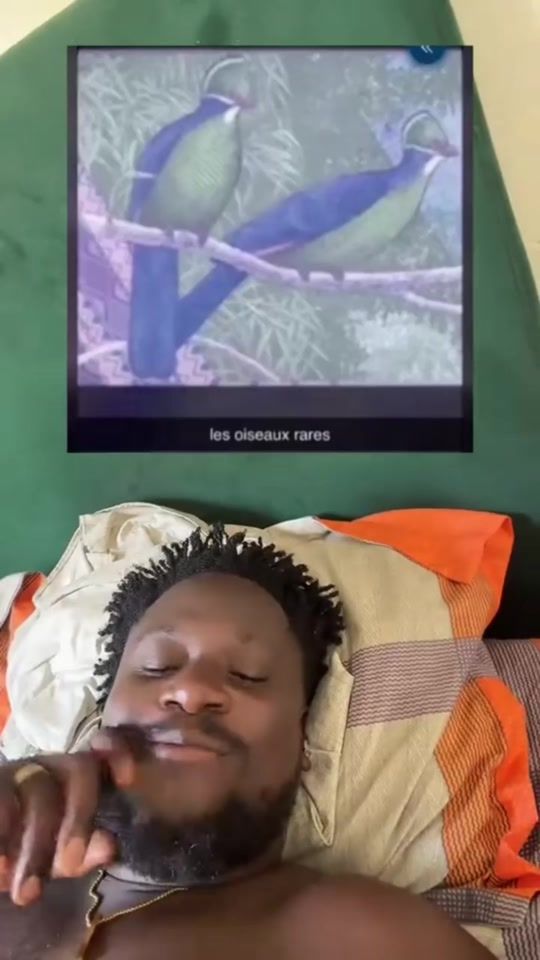 TikTok video thumbnail by chef_siro_boris