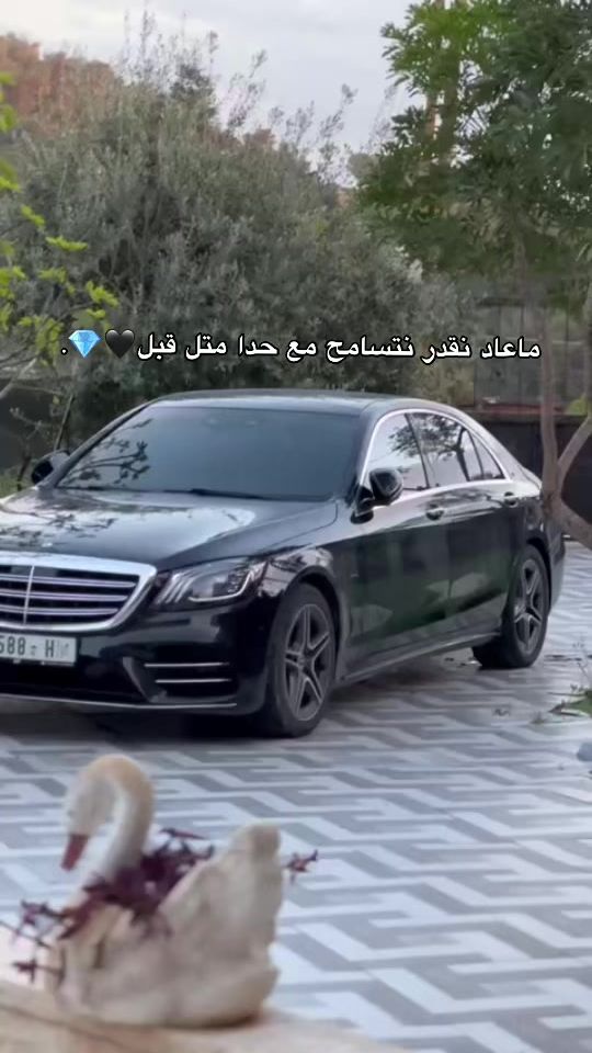 TikTok video thumbnail by adel_al_sous