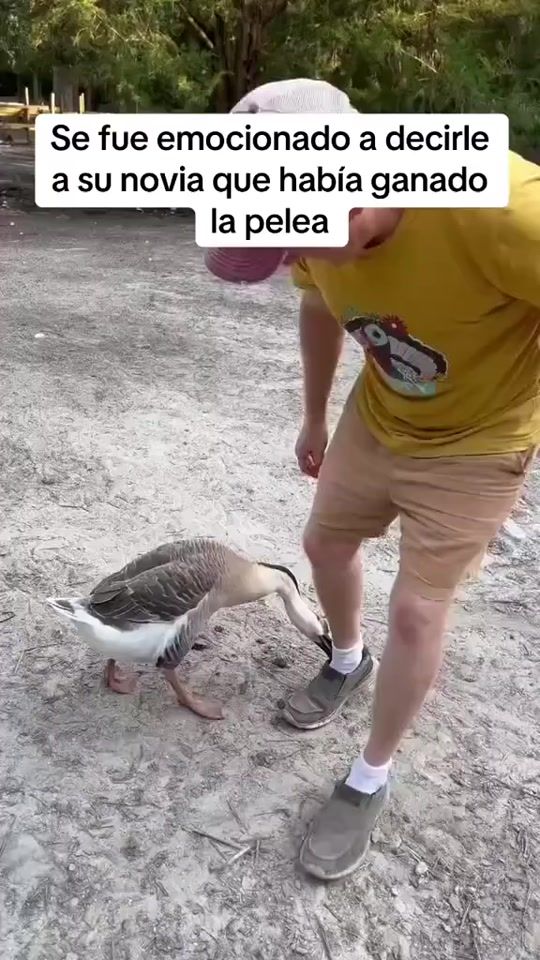 TikTok video thumbnail by exeis_tensei