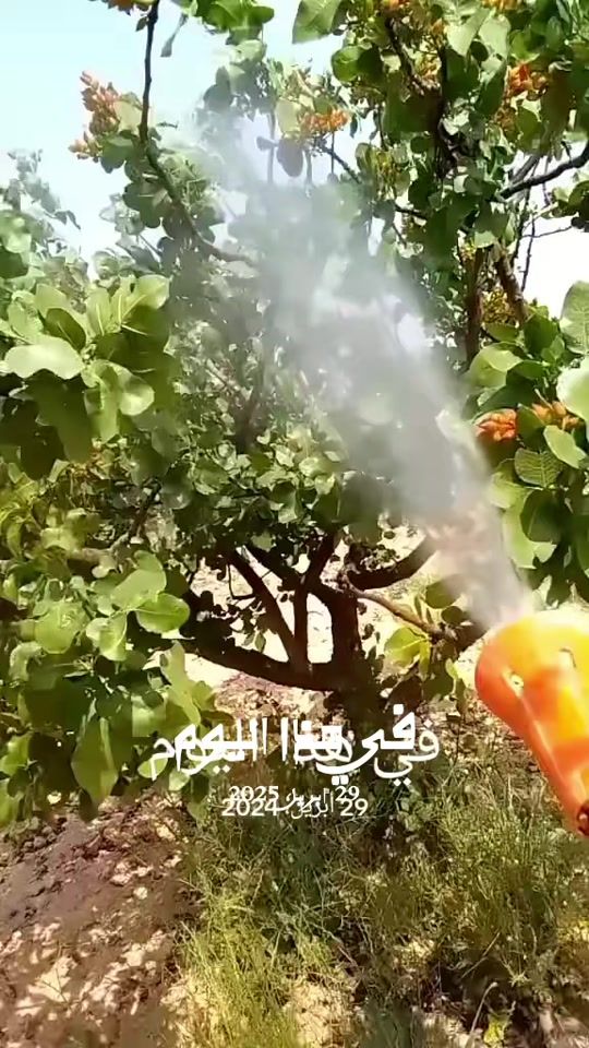 TikTok video thumbnail by xf_1f_x