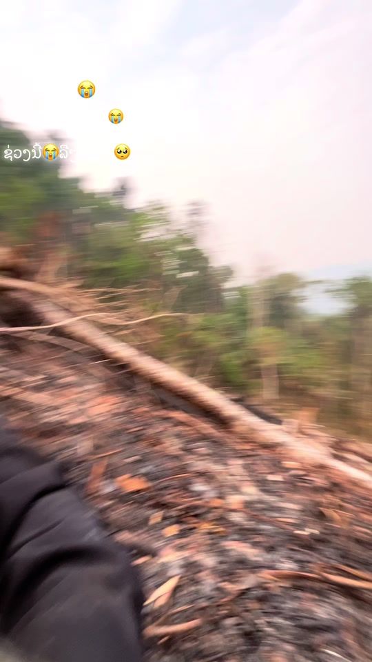 TikTok video thumbnail by seeva45
