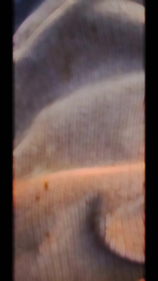 TikTok video thumbnail by tobygomez817