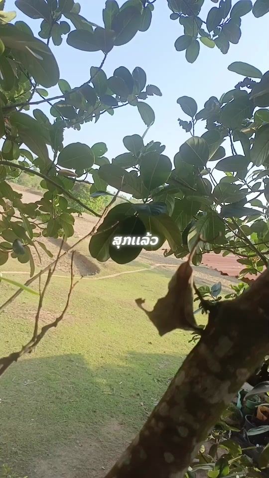 TikTok video thumbnail by user522267916320