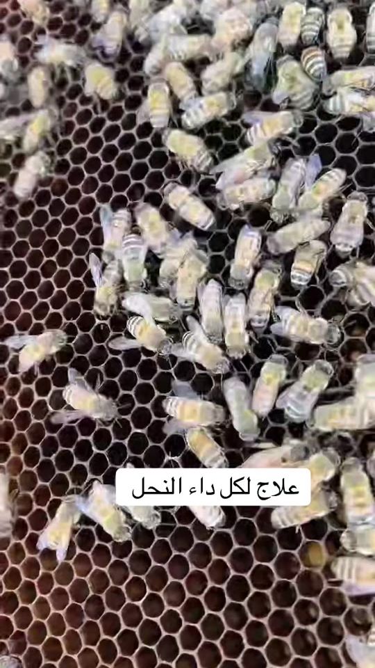 TikTok video thumbnail by da_19875