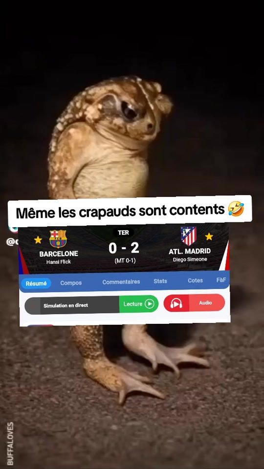 TikTok video thumbnail by papacfa0226