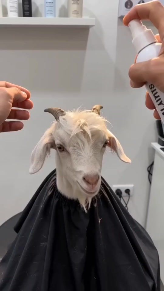 TikTok video thumbnail by ermuzeku