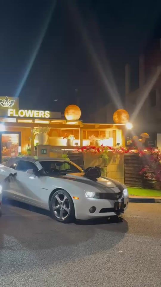 TikTok video thumbnail by asalaflowers