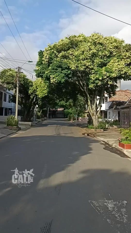 TikTok video thumbnail by micalibella_0