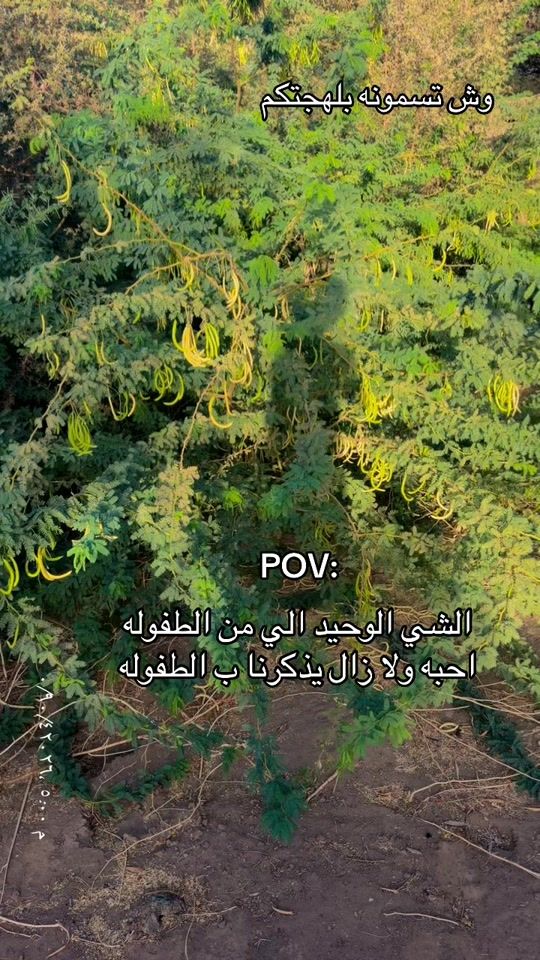 TikTok video thumbnail by zv_kb