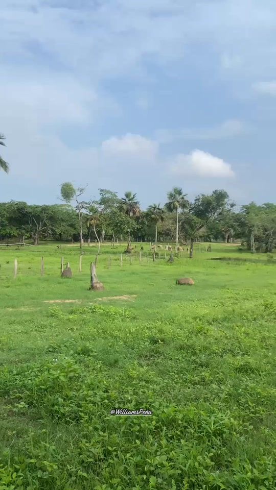 TikTok video thumbnail by rancholaw