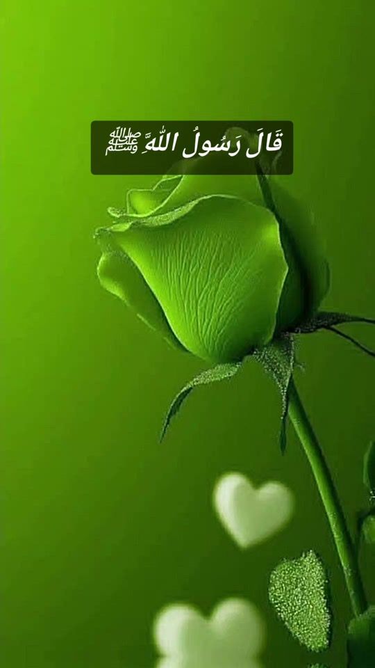 TikTok video thumbnail by mohammad___badiul