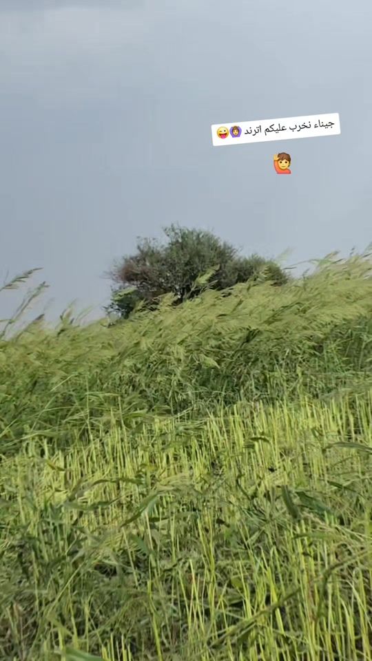 TikTok video thumbnail by 0960995585a