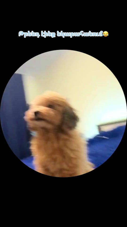 TikTok video thumbnail by uni25__