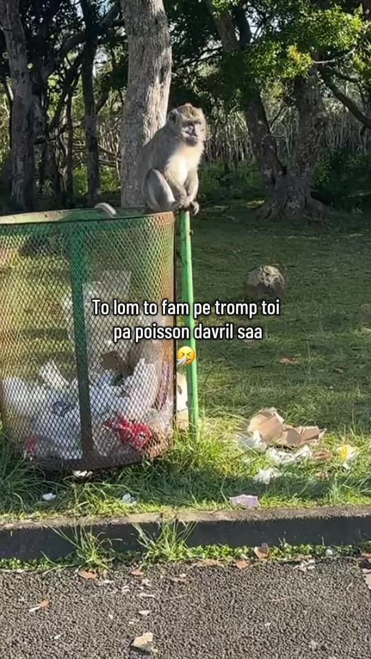 TikTok video thumbnail by vxshist26