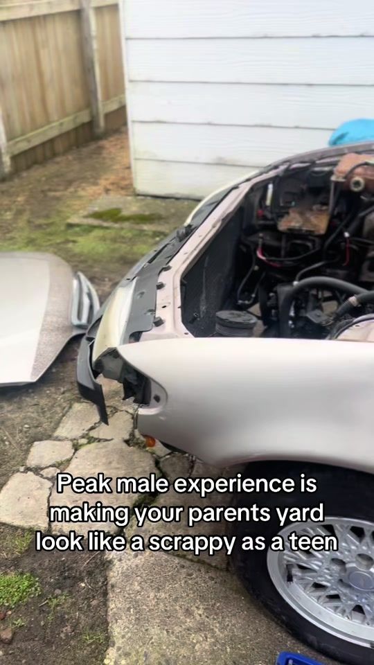TikTok video thumbnail by southernbogan