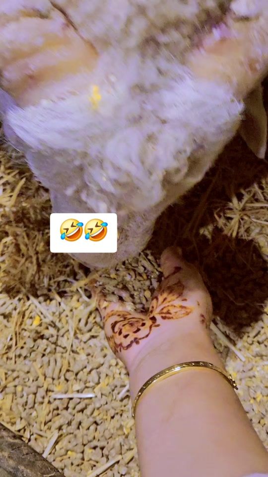 TikTok video thumbnail by tamazight370