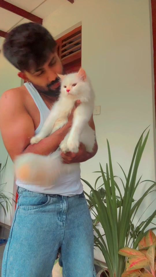 TikTok video thumbnail by chamaraprasadh