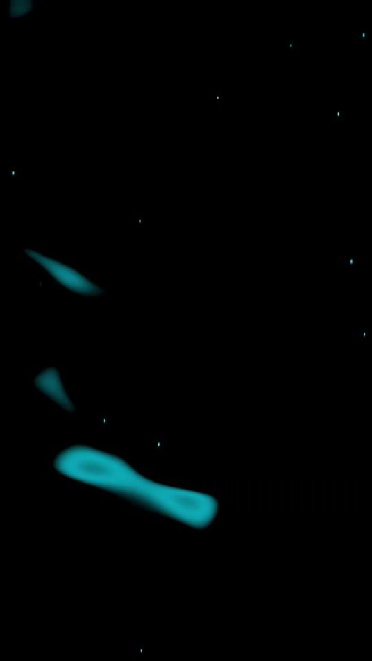 TikTok video thumbnail by gs_stat0s